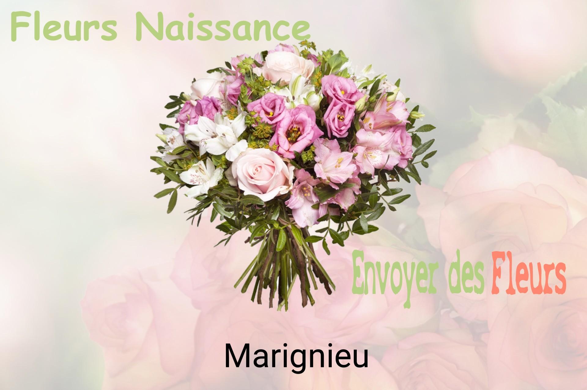 Bouquet de fleurs de naissance livré à Marignieu